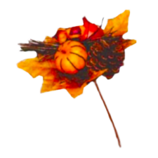Pumpkin Cone Fall Picks