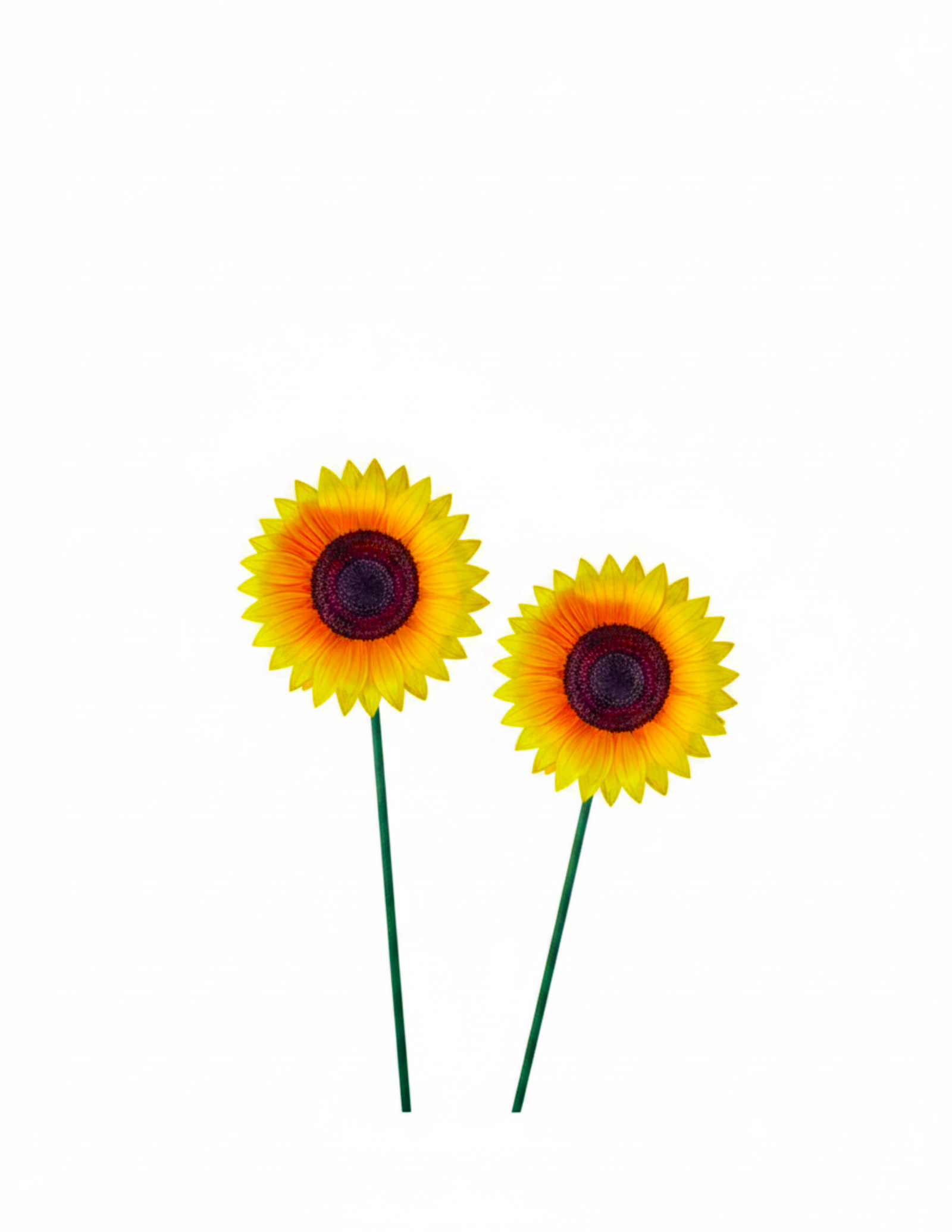 28" Bobble Sunflower Pick
