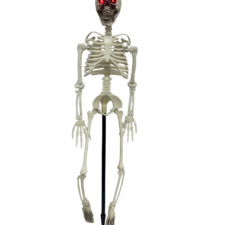 39" Skeleton Stake