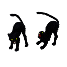 12" Black Cat